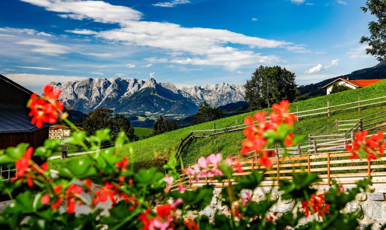 Hotel - Pension Oetzmooshof Sankt Johann im Pongau Dış mekan fotoğraf